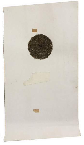 Circle of Death, Paper, Glue, Fruit Flies, Tape, 60x40cm